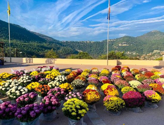 Toussaint 2024 : Retrouvez Fior Fleurs devant le cimetière de Tourrette Levens